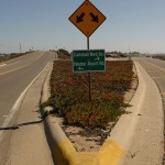 two-way-fork-in-road two-way-fork-in-road