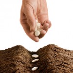 sowingseed