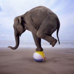 balancing_act balancing_act