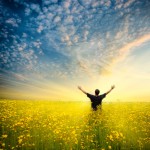 canolafeild-© chesterF - Fotolia.com
